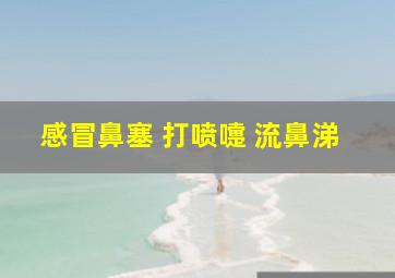 感冒鼻塞 打喷嚏 流鼻涕